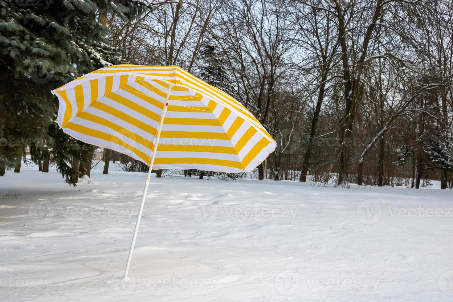 een helder geel gestreept strand paraplu staat Aan wit sneeuw in een park Aan een besneeuwd glade foto