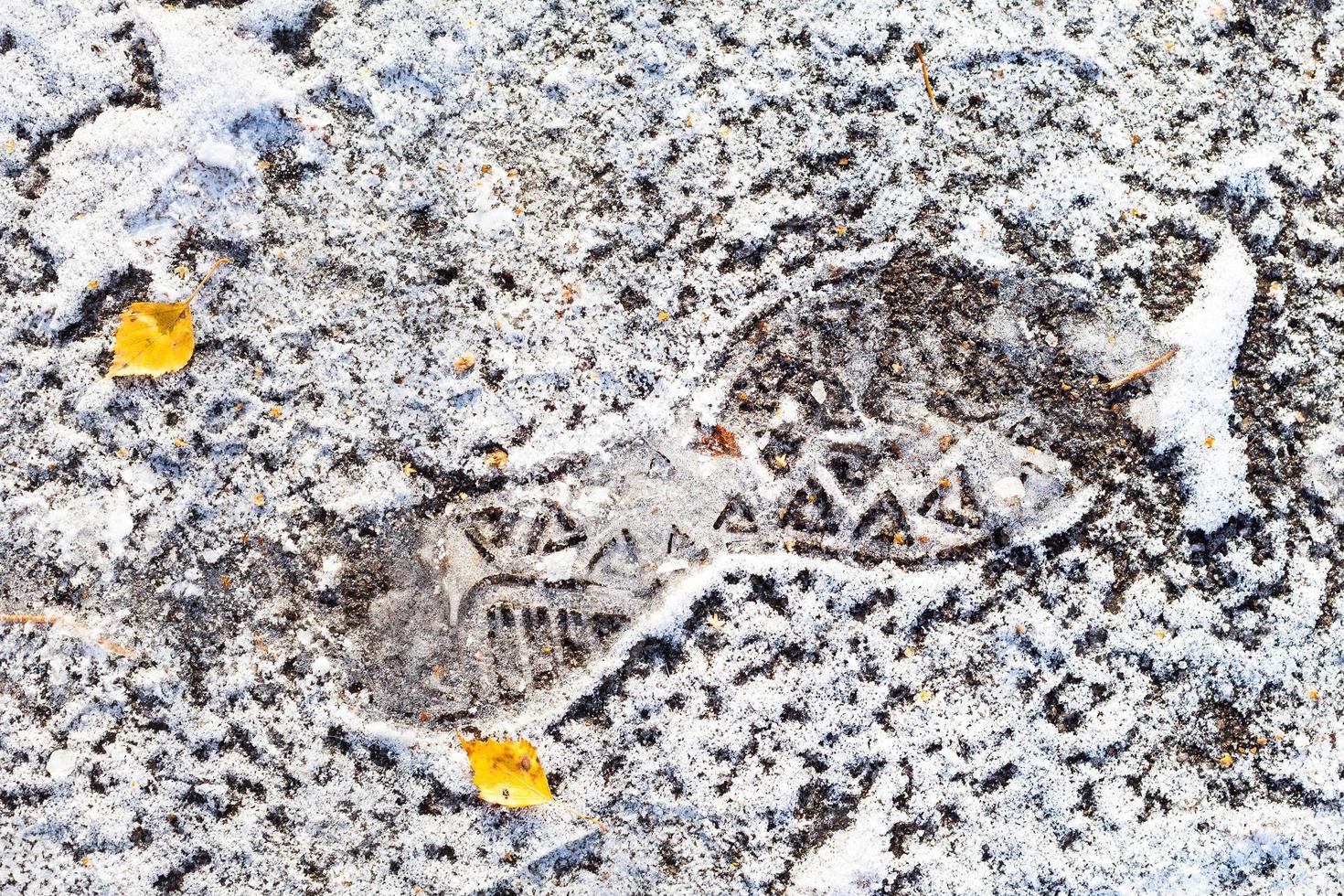 top visie van bevroren voetafdruk Aan weg in herfst foto