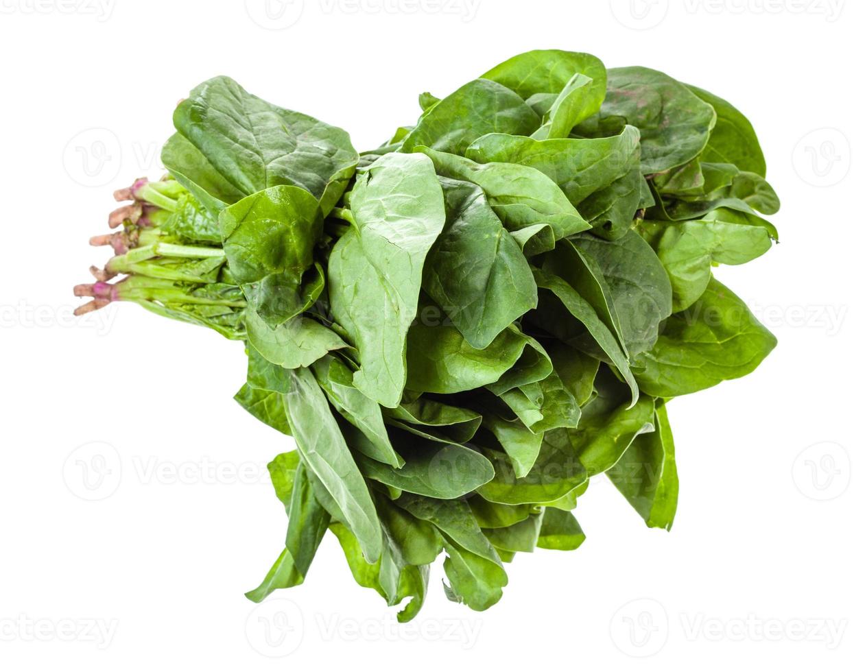 bundel van vers groen spinazie kruid geïsoleerd foto
