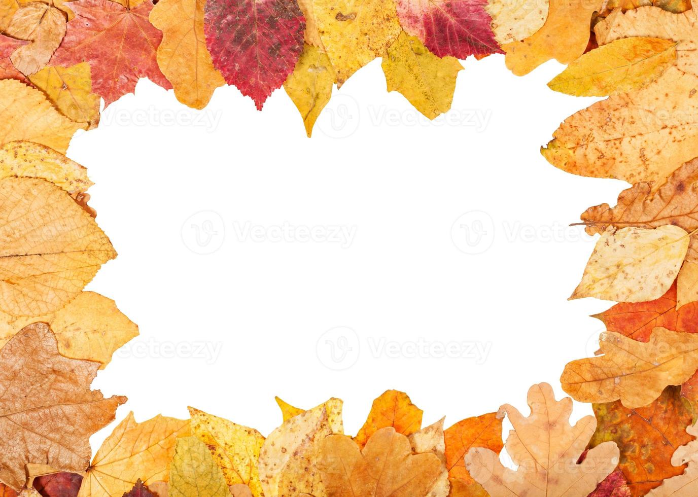 afbeelding kader van geel herfst bladeren foto