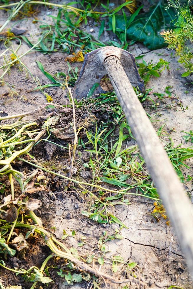 schoonmaak tuin van gras door bijl foto