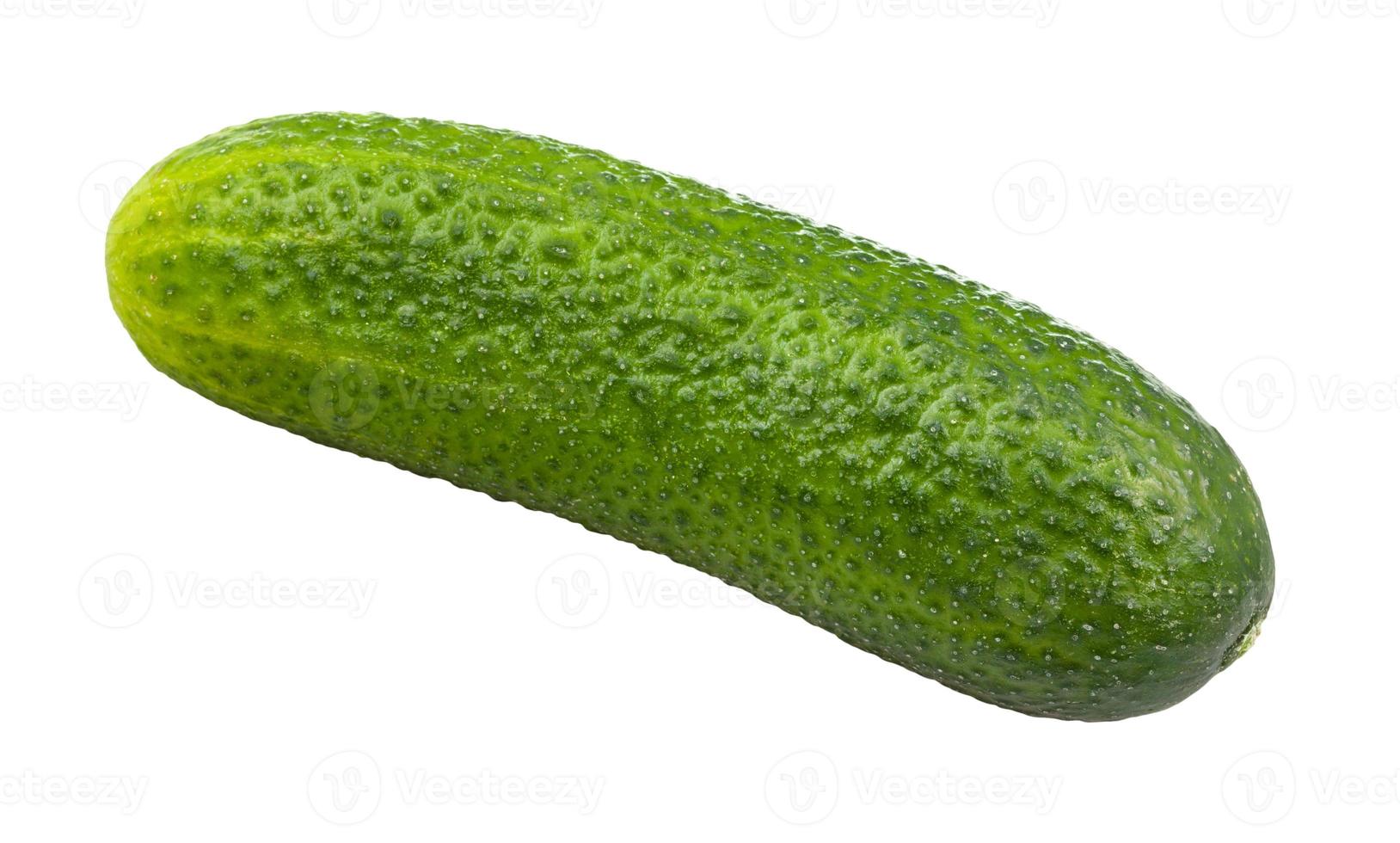 rijp groen komkommer geïsoleerd Aan wit foto
