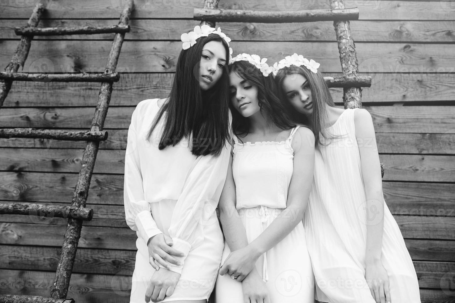 drie charmant meisjes Aan een ladder in de buurt een houten huis foto