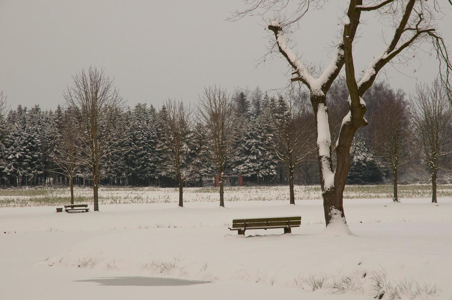 raesfeld,Duitsland,2020-de kasteel van Raesfeld in Duitsland foto