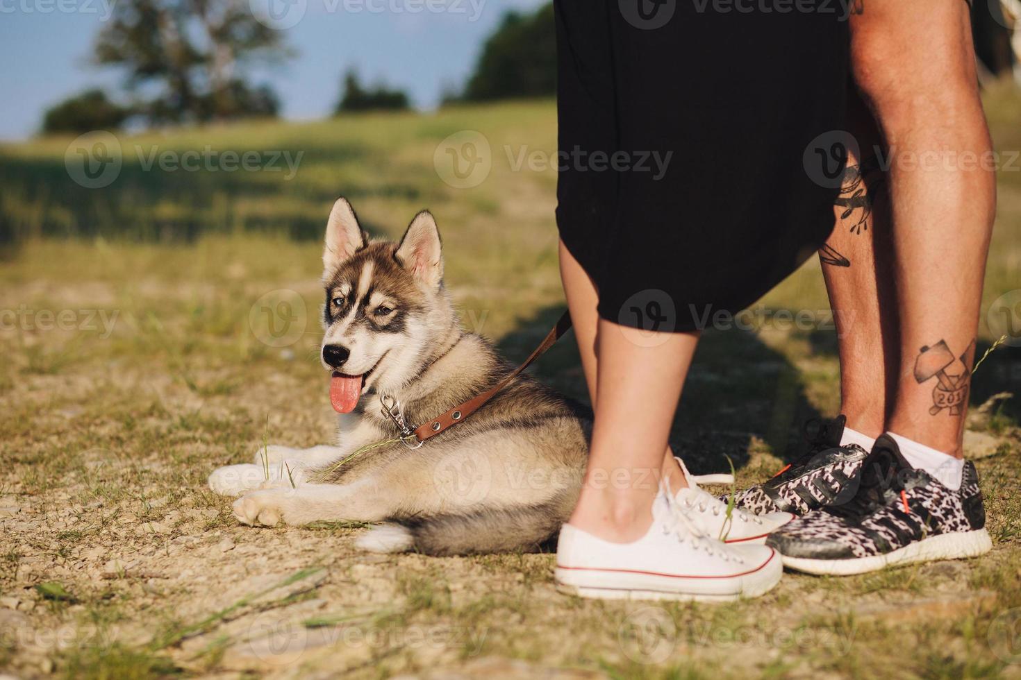 foto van de hond in de buurt meesters