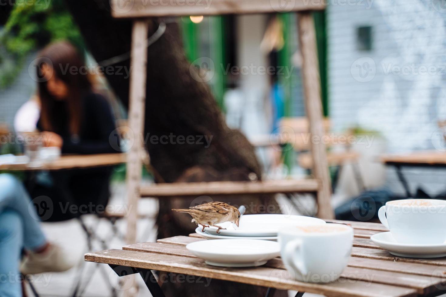 vogel in stad. mus zittend Aan tafel in buitenshuis cafe foto