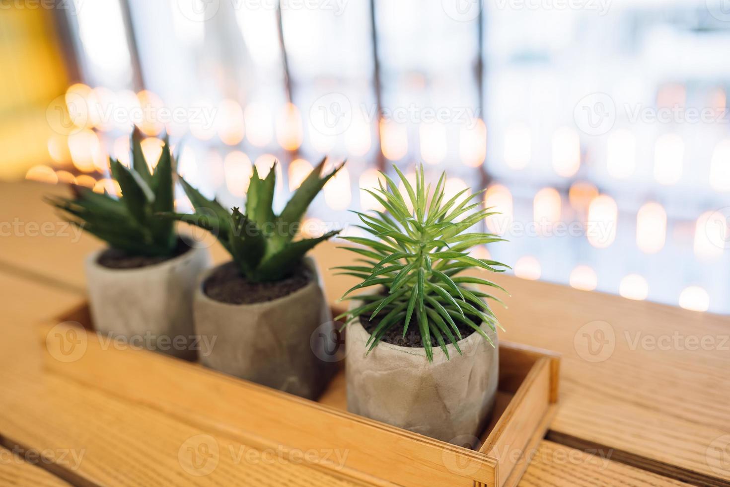 weinig cactus en aloë in klein potten foto