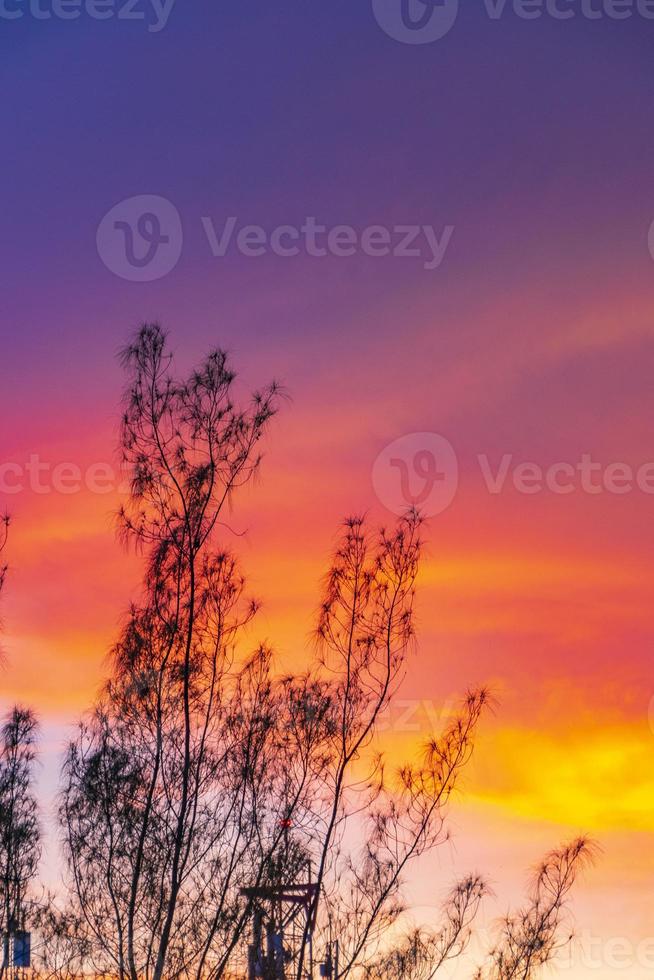 verbazingwekkend kleurrijk roze Purper zonsopkomst zonsondergang playa del carmen Mexico. foto