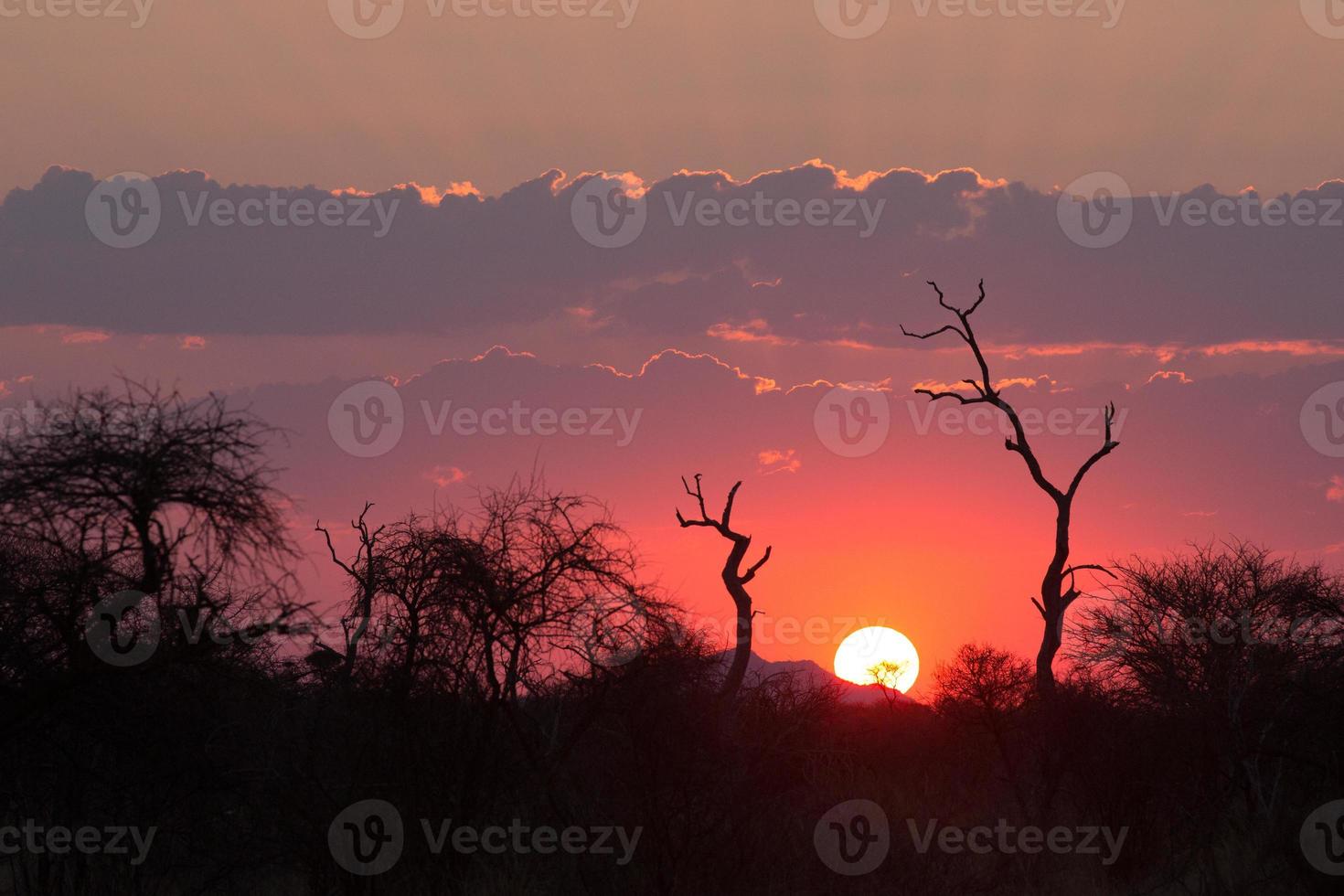 roze zonsondergang in Medikwe, Zuid-Afrika foto
