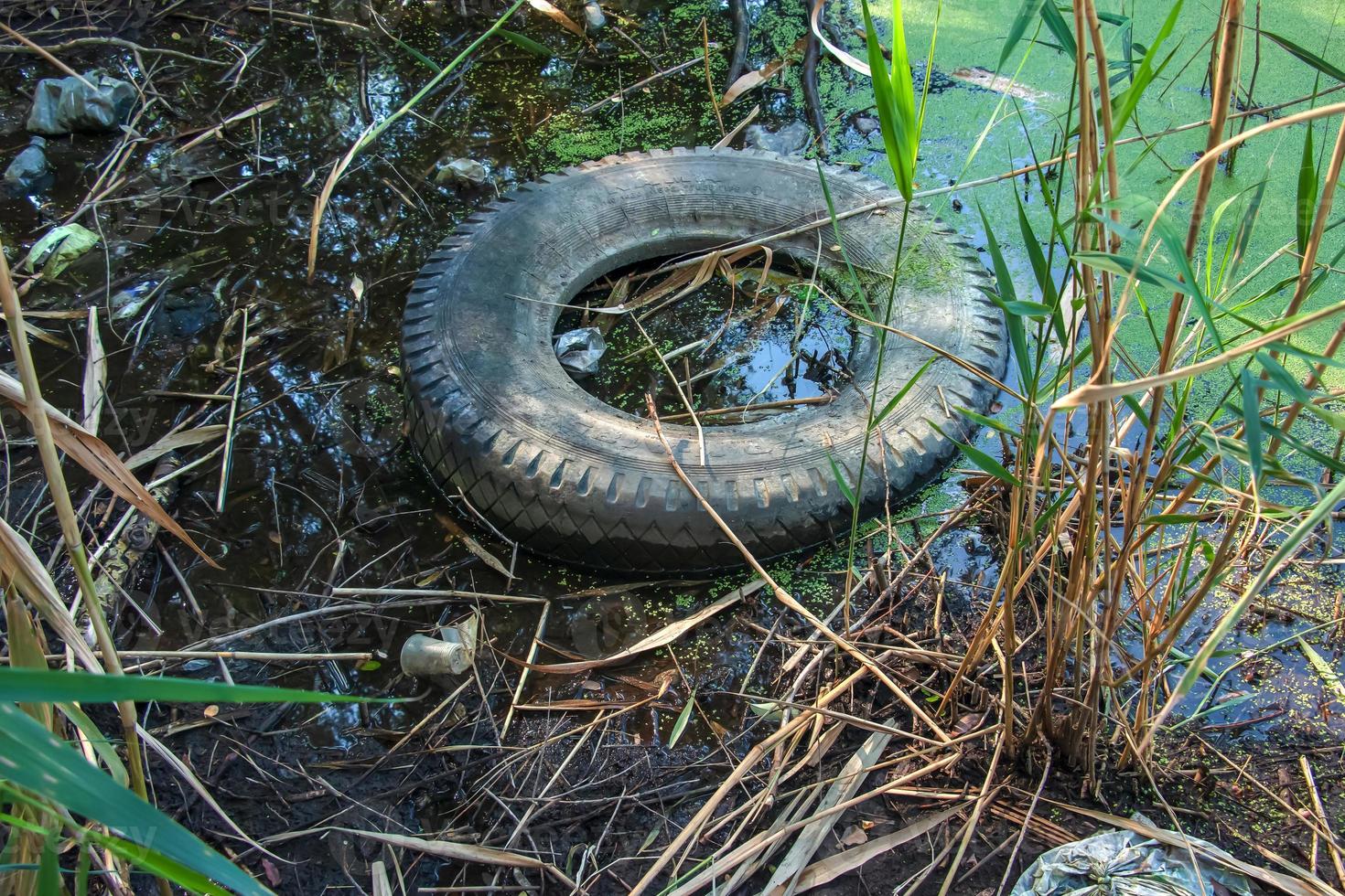 eendekroos en plastic, blik, rubber vuilnis in de rivier. de concept van de ecologisch probleem van milieu vervuiling. foto