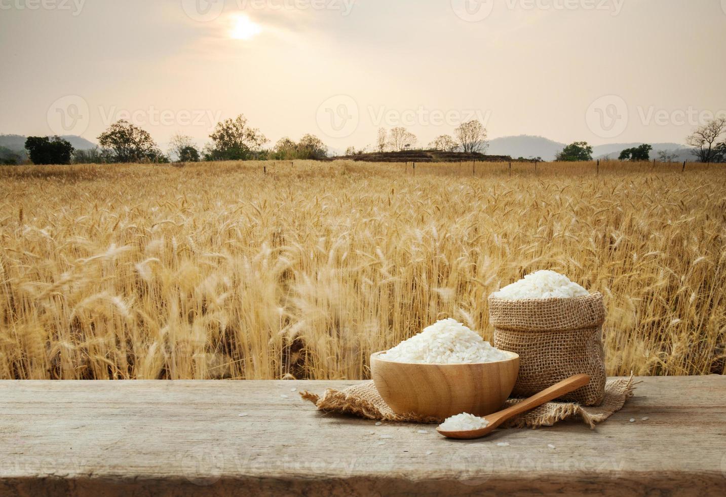 jasmijn rijst- in kom en jute zak Aan houten tafel met de gouden rijst- veld- achtergrond foto