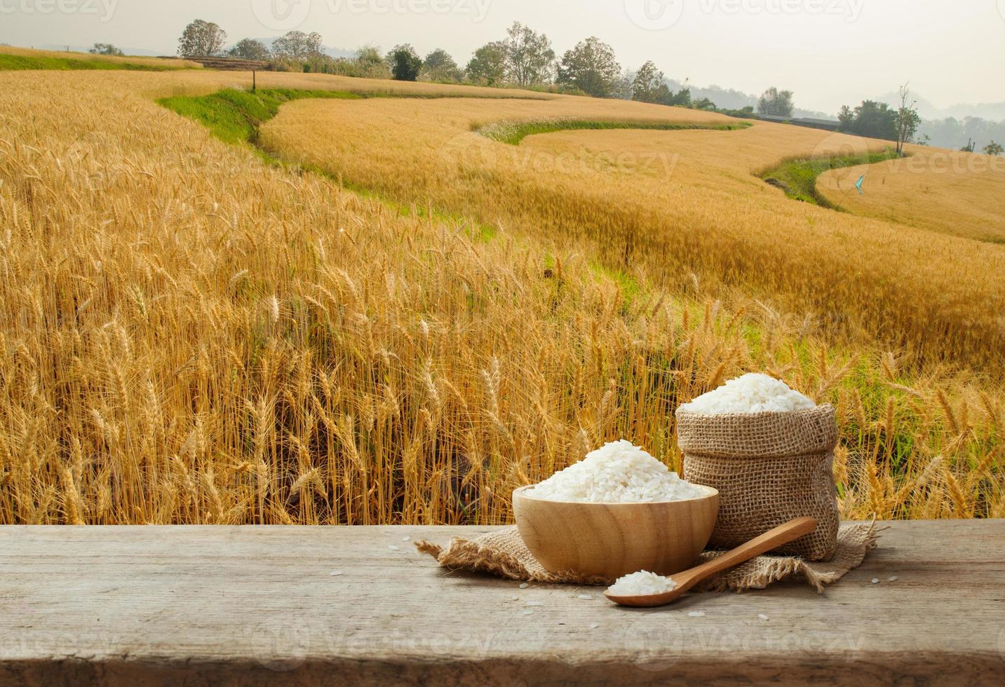 jasmijn rijst- in kom en jute zak Aan houten tafel met de gouden rijst- veld- achtergrond foto