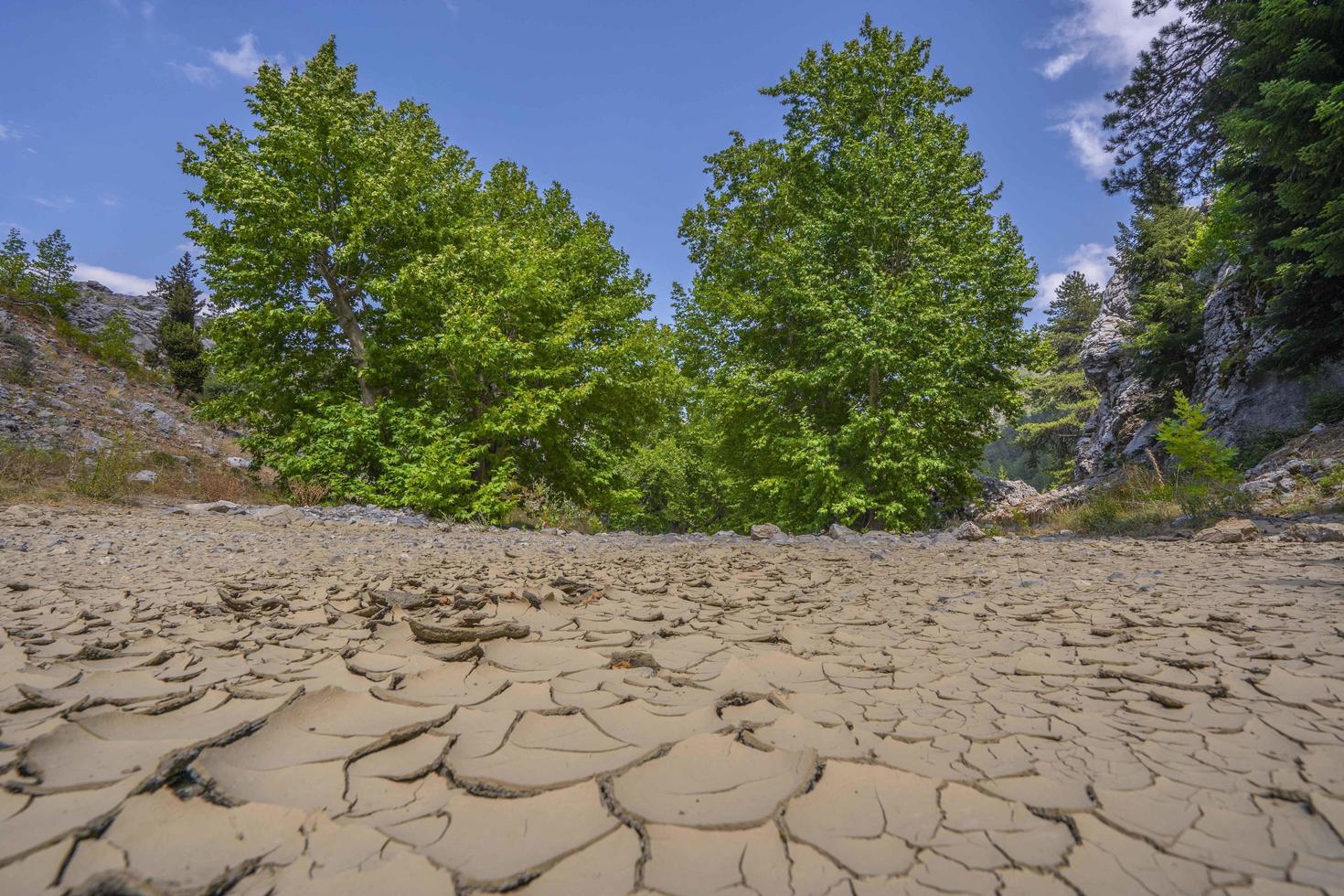 gebarsten bodem van een droog omhoog rivier- foto