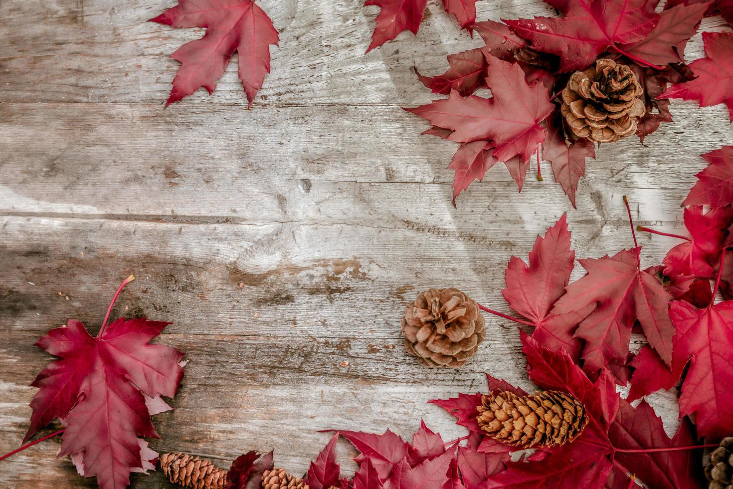 feestelijk herfstdecor van pompoenen, dennen en bladeren op een houten ondergrond. concept van thanksgiving day of halloween. plat lag herfstcompositie met kopieerruimte. foto