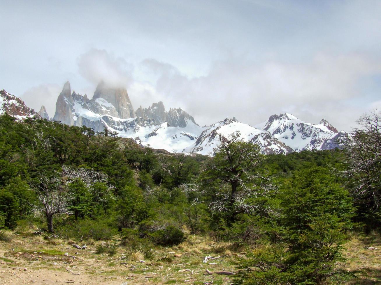 monteren fitz roy Bij los gletsjers nationaal park, Argentinië, Patagonië foto