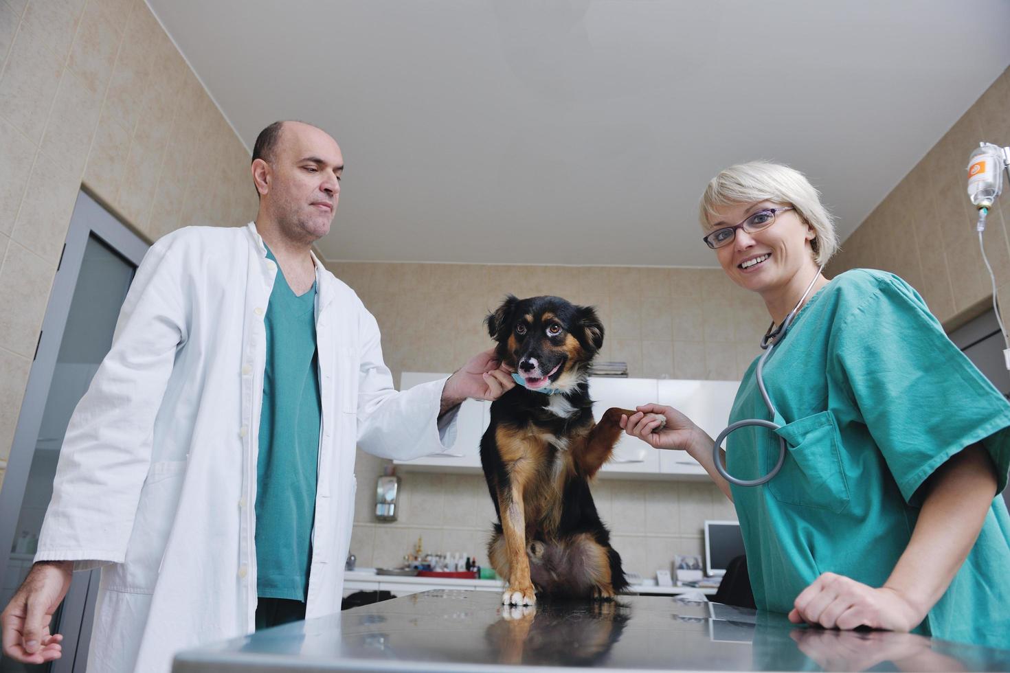 dierenarts en assistent in een dierenkliniek foto