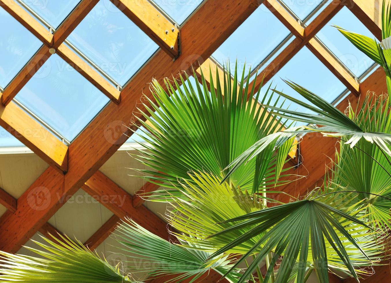 palm en houten dak bouw foto