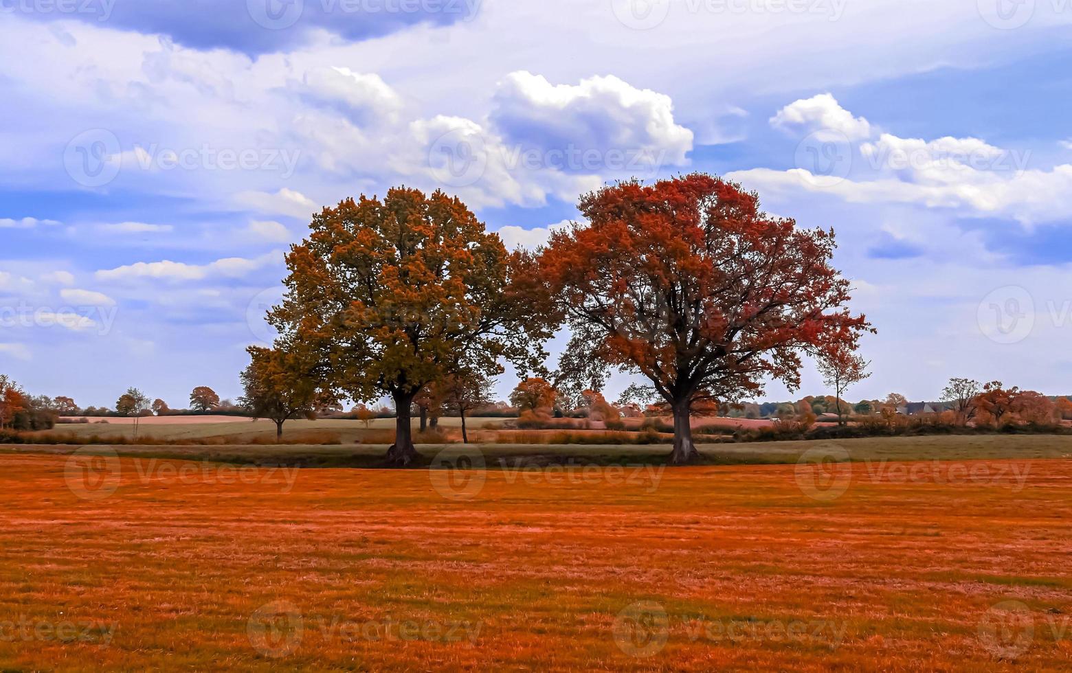 prachtig panoramisch uitzicht op een gouden herfstlandschap gevonden in europa foto