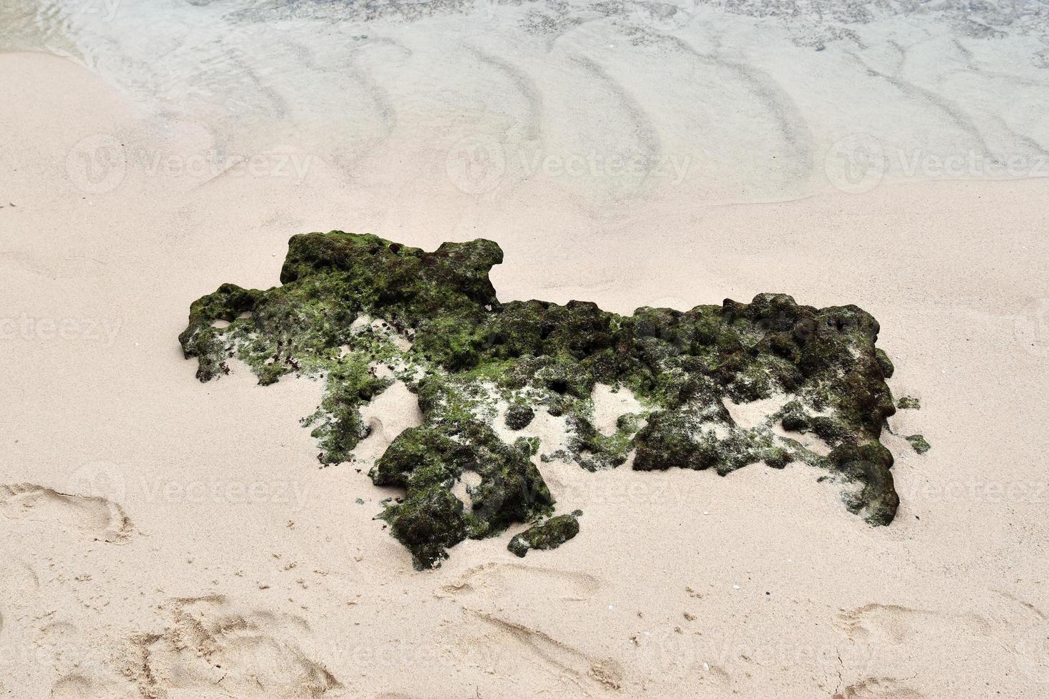 mooi schoten van de wit strand zand Aan de Seychellen paradijs eiland met voetafdrukken foto