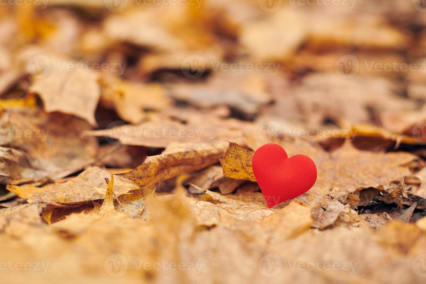 verliefdheid, eenzijdig romantisch liefdesconcept foto