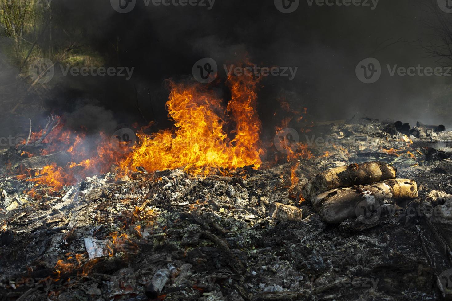 brand en zwart rook. brand in stortplaats. rook in Woud. onwettig stortplaats. foto