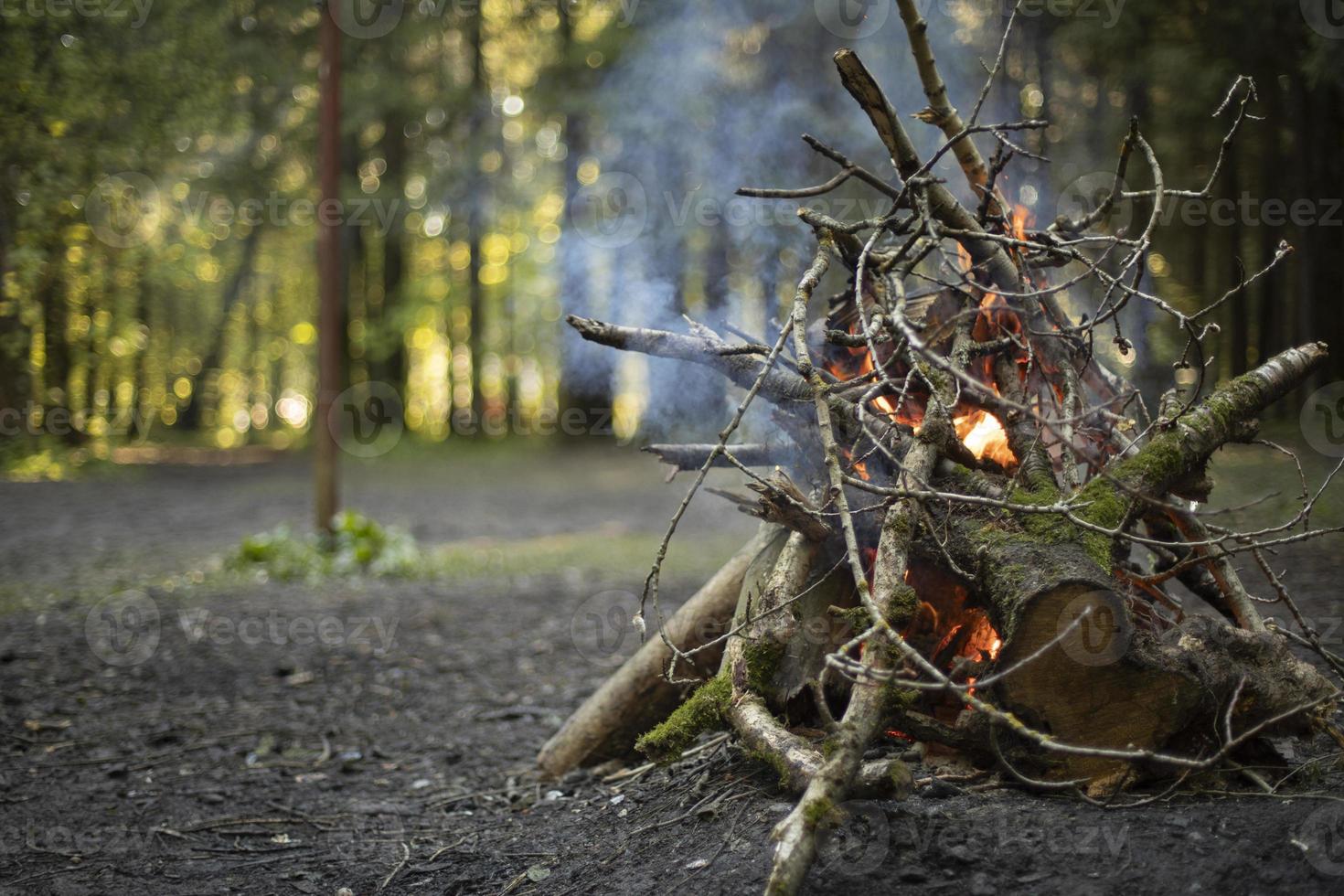 vreugdevuur in bossen. droog takken zijn brandend. camping details. foto