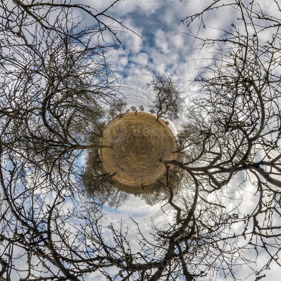 herfst kleine planeet transformatie van bolvormig panorama 360 graden. bolvormige abstracte luchtfoto in bos met onhandige takken. kromming van de ruimte. foto