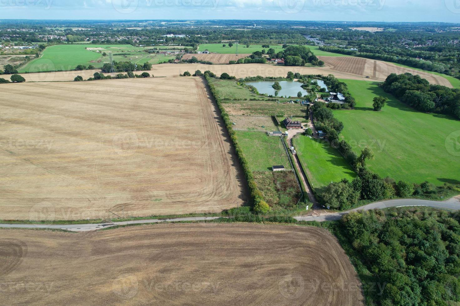 hoog hoek visie van koeien begrazing Aan veld- tegen lucht. prachtig hoog hoek antenne visie van dier boerderij Bij Brits agrarisch veld- in de buurt Londen Engeland Super goed Brittannië van uk foto