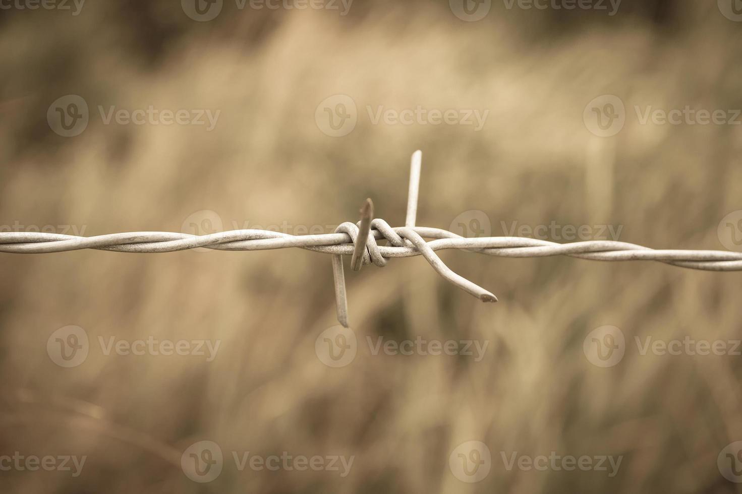 prikkeldraad hek en groene veld close-up foto