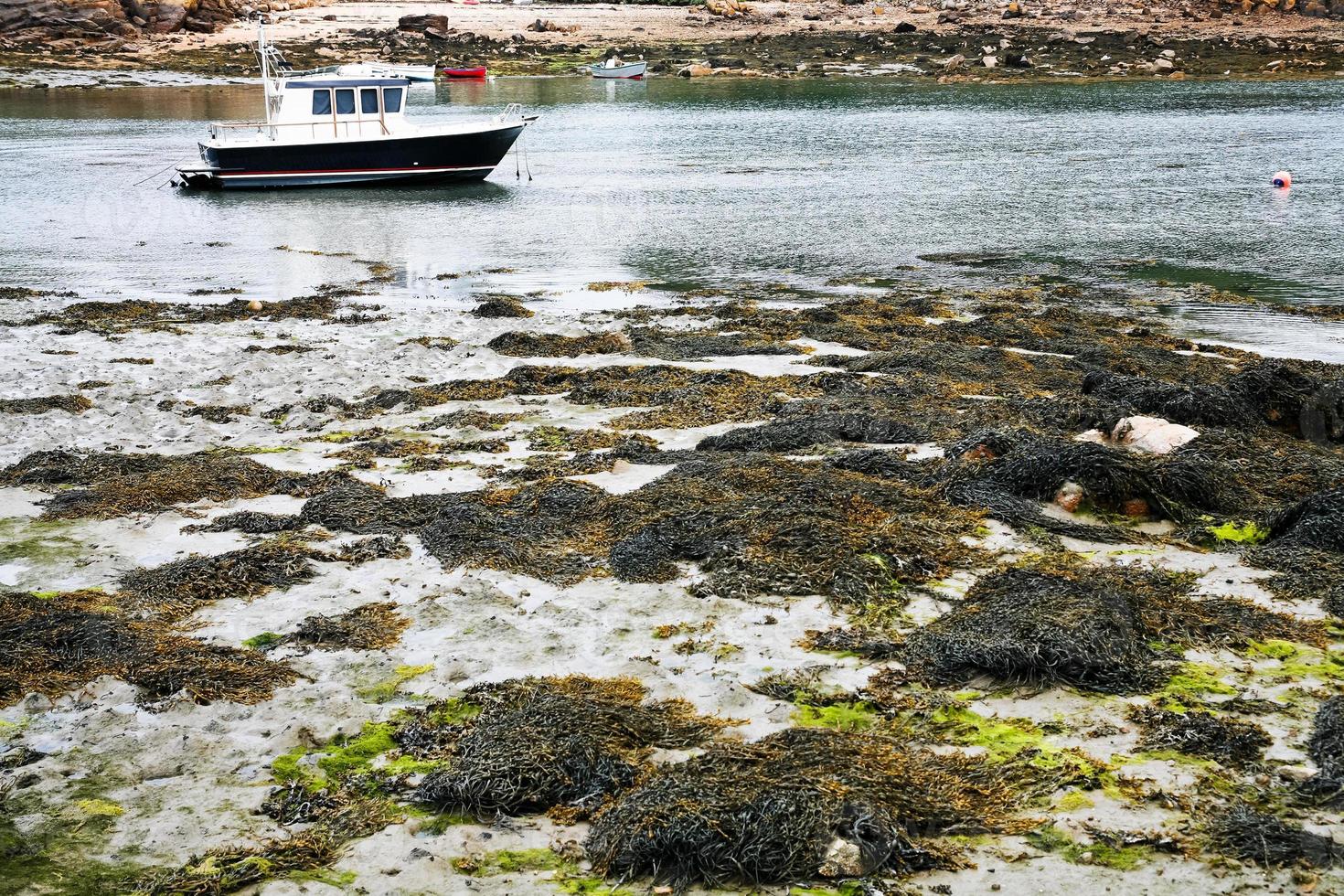 laag water Aan breton kustlijn foto