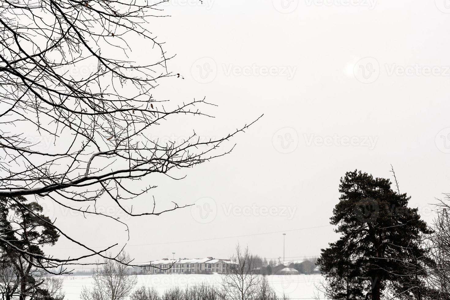 grijs bewolkt lucht over- met sneeuw bedekt land veld- foto