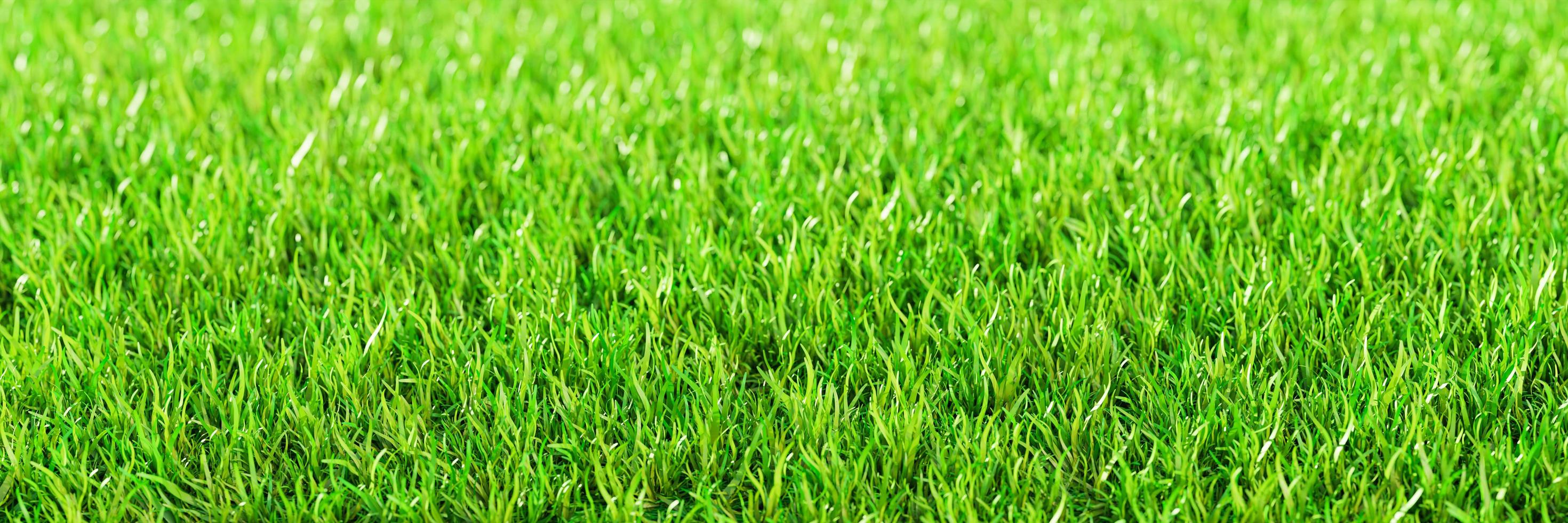 groen gras top keer bekeken vers groen gazons voor achtergrond, achtergrond, of behang. vlaktes en grassen van divers maten zijn netjes en netjes. de gazon oppervlakte is gelijkmatig schijnend en helder.3d renderen foto