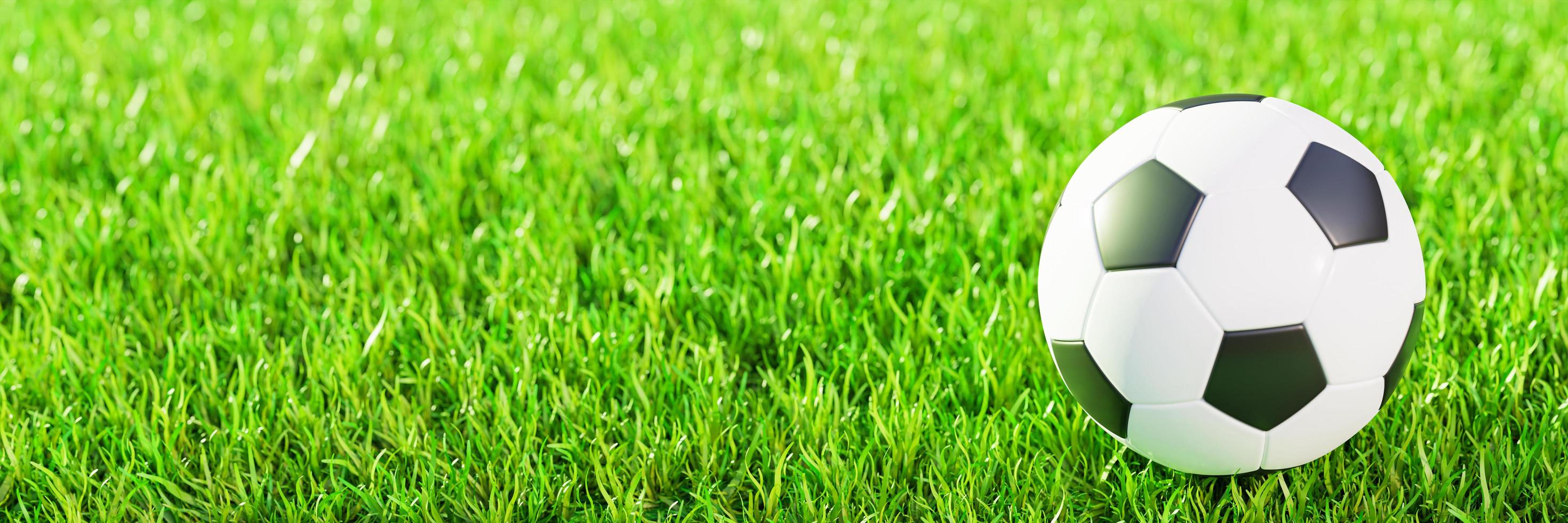 realistisch voetbal bal of Amerikaans voetbal bal eenvoudig patroon Aan groen gras veld- met zonlicht en zonneschijn. 3d stijl en renderen concept voor spel. gebruik voor achtergrond of behang. foto