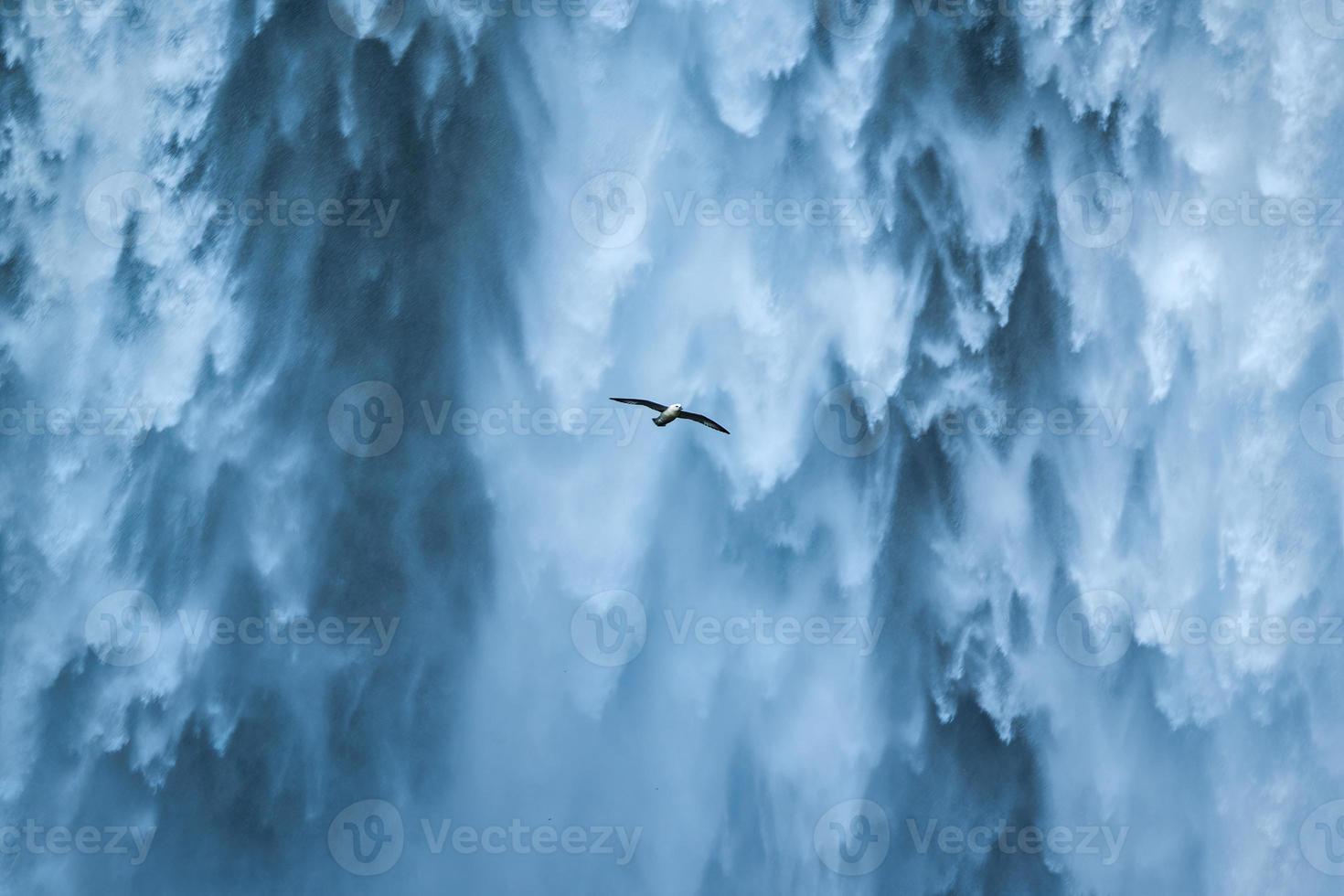 zeemeeuw vogel vliegend in de buurt de skogafoss waterval vloeiende in zomer Bij IJsland foto