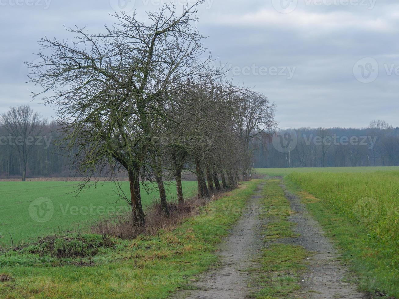 de Duitse münsterland foto