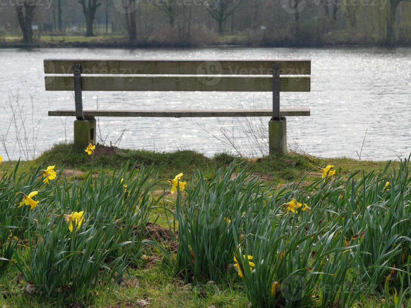 Bij de meer in de buurt Borken foto