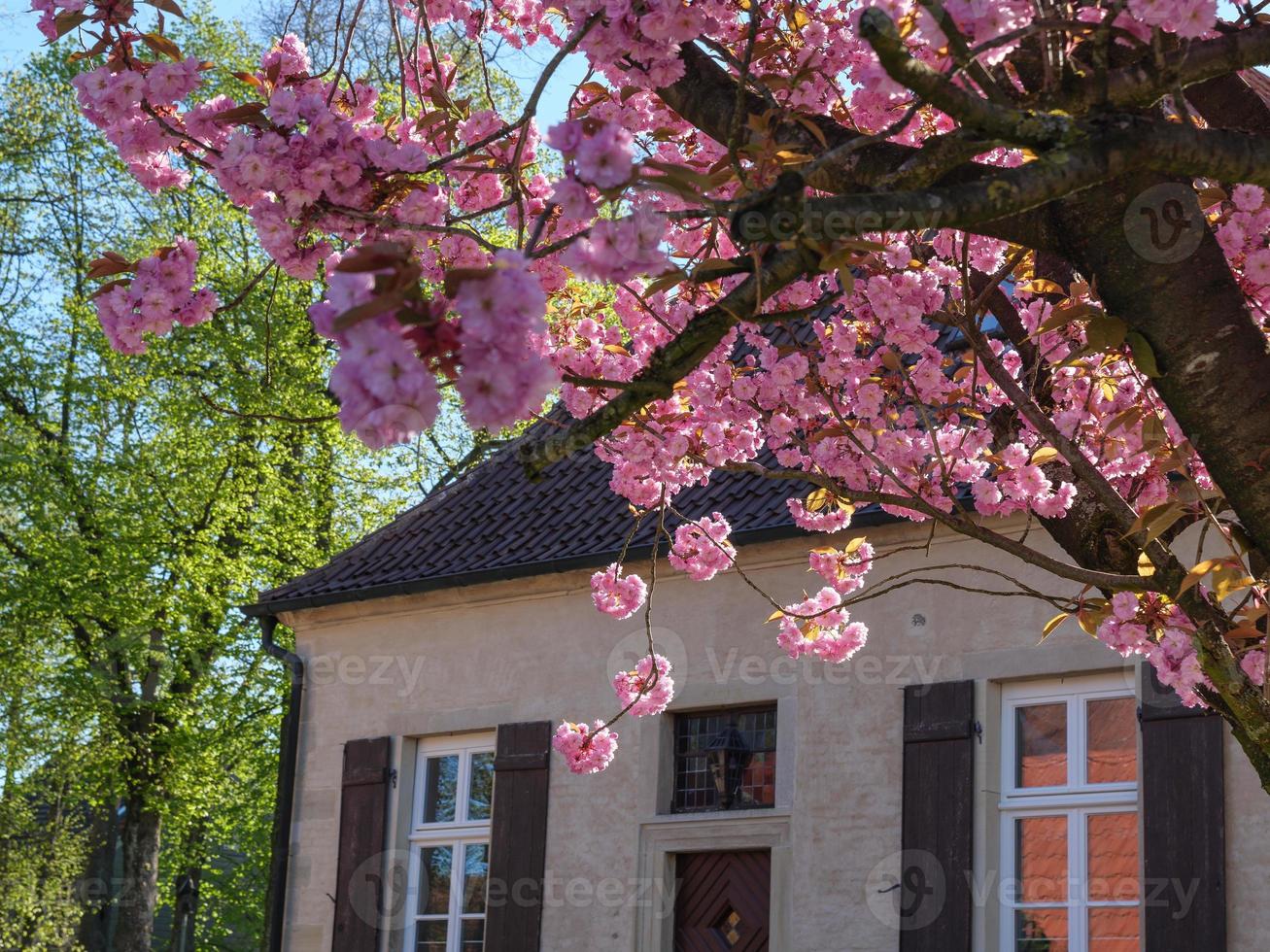 billerbeck in Westfalen foto