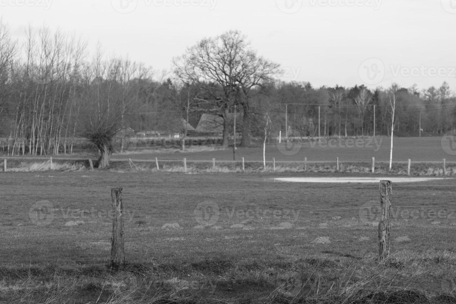 wandelen in de Duitse Westfalen foto