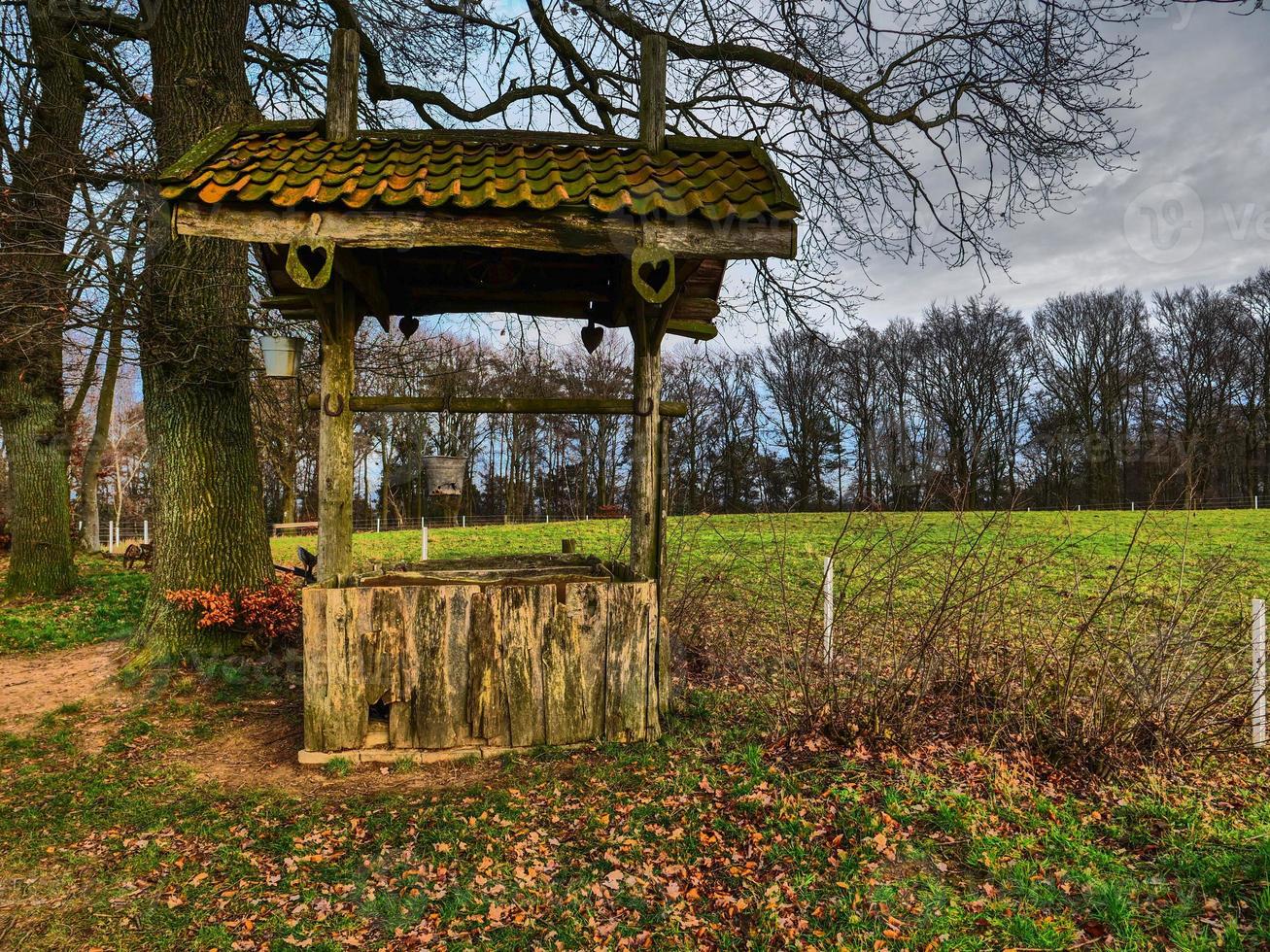 wandelen in de buurt reken maar in de Duitse münsterland foto