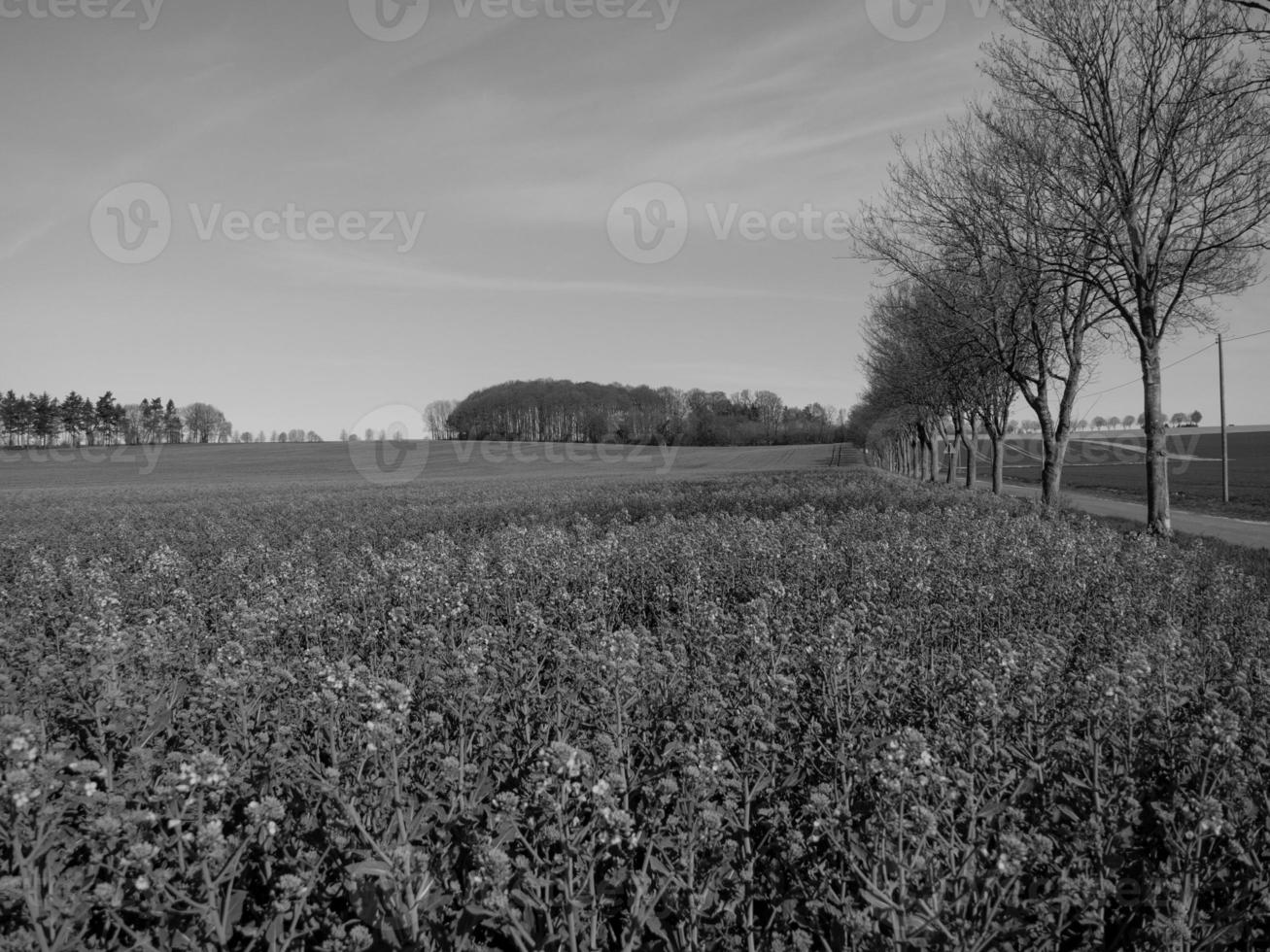 Westfaalse landschap in de buurt billerbeck foto