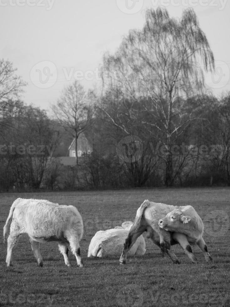 in de Duitse münsterland foto