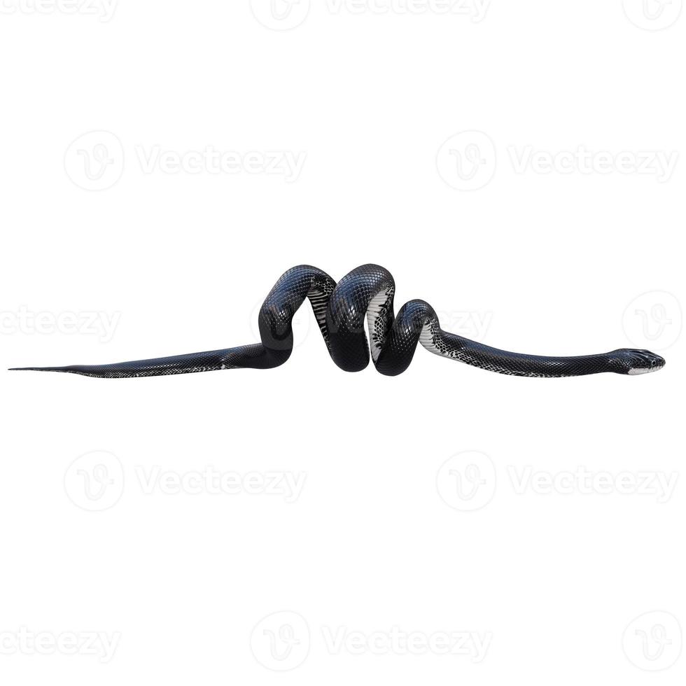 zwart Rat slang 3d illustratie. foto