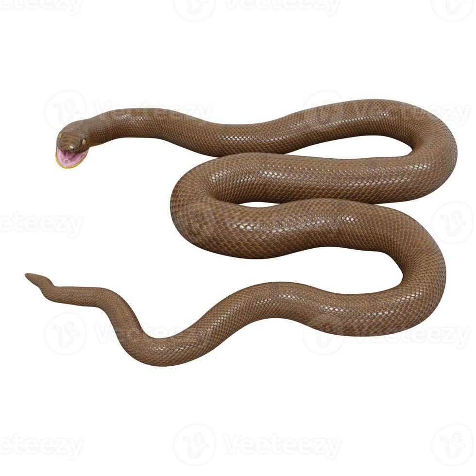 rubber boa 3d illustratie. foto