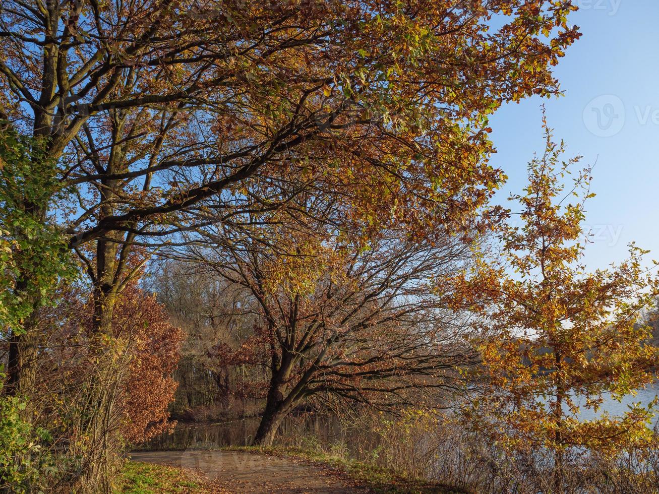wandelen Bij een meer in Westfalen foto