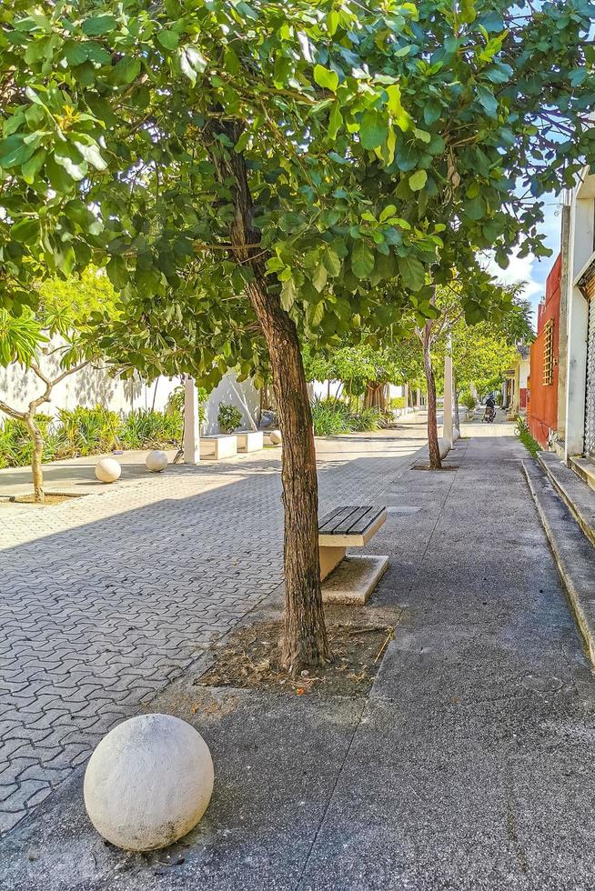 typisch voetganger straat stadsgezicht muur schilderijen playa del carmen Mexico. foto