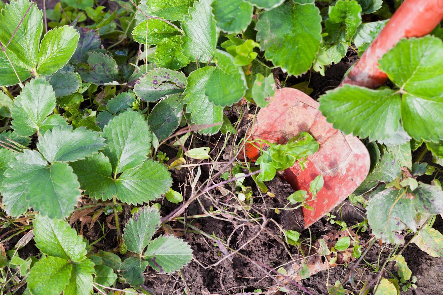 graven met troffel foto