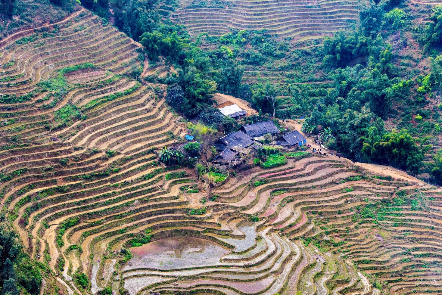 vietnam, sapa - rijstvelden foto