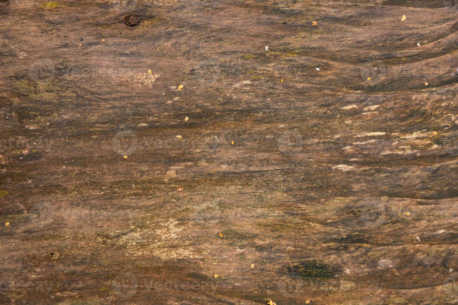 oud ruw, natuurlijk, getextureerde eik hout plank, detailopname. foto