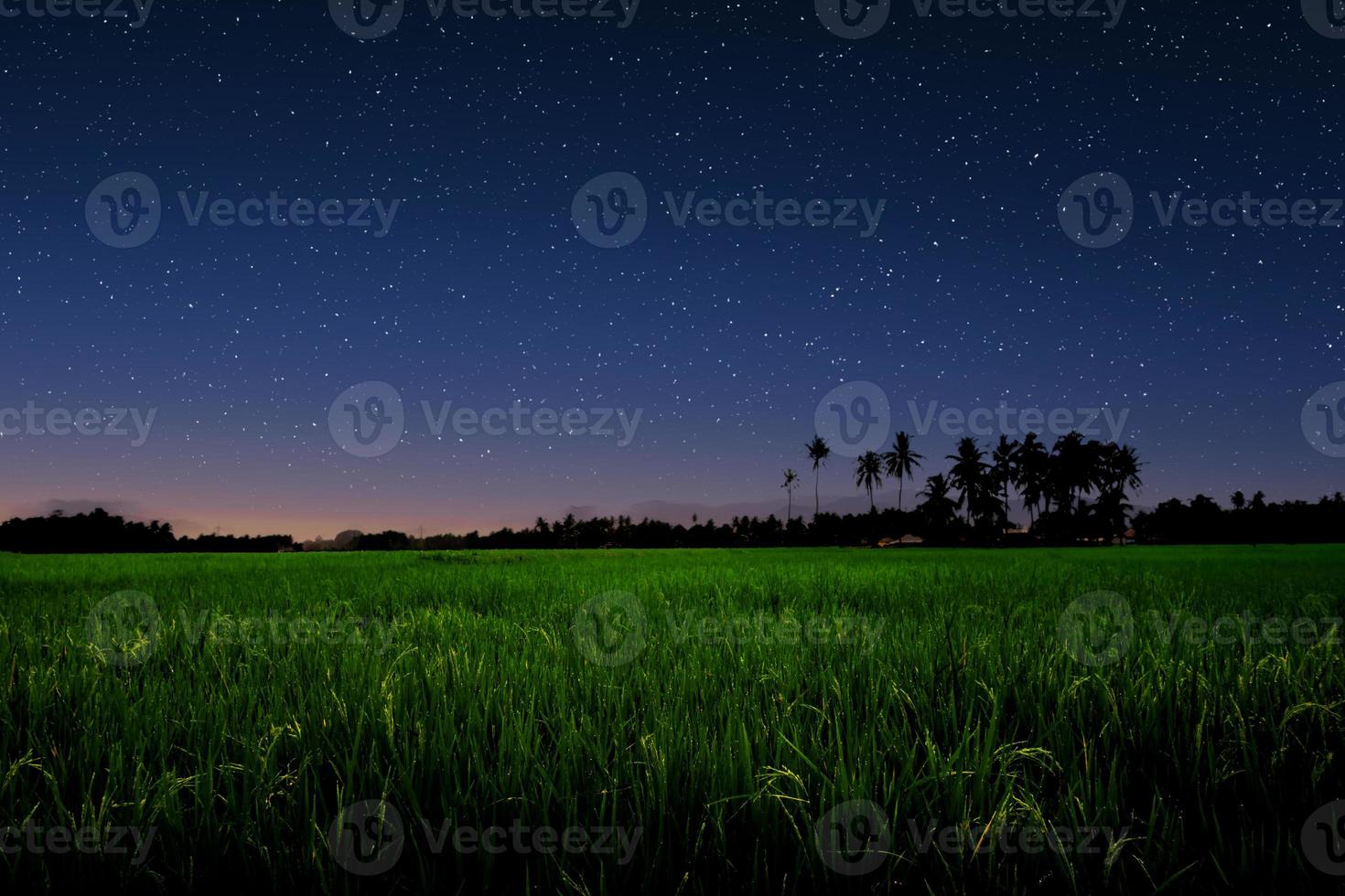 sterrenhemel lucht over- groen veld. foto