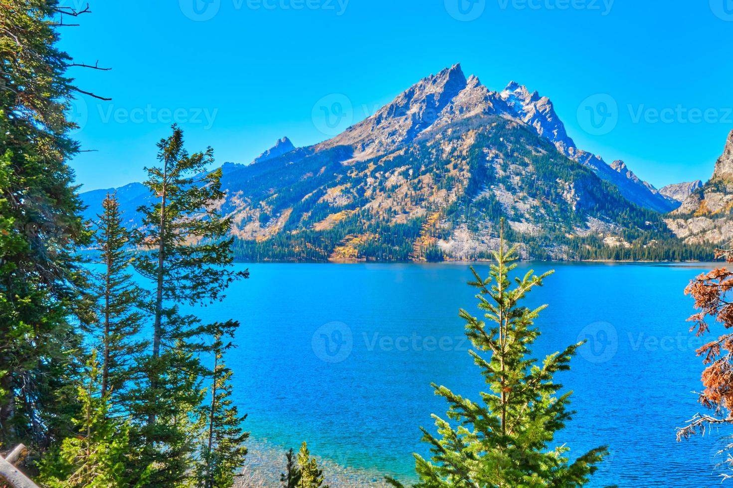 Jenny meer in groots teton nationaal park foto